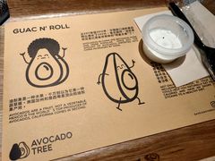 -油梨树AVOCADO TREE(嘉里中心店)