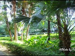 ~-深圳海景嘉途酒店(东翼楼)