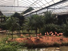 -无锡动物园·太湖欢乐园