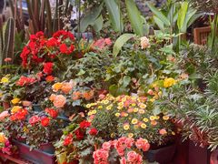 -山水茶艺馆·点心粤菜·30年老字号