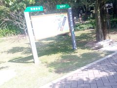 -野狸岛