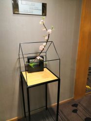 -爱陪伴尊享月子中心(国际店)