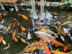 -上海大自然野生昆虫馆(东方明珠·爬宠昆虫探索中心)