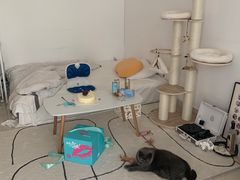 -法兰之吻蛋糕甜品(大望路店)