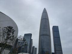 -深圳湾万象城(南山店)