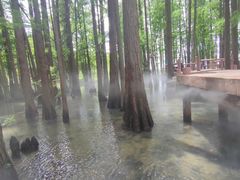 -东湖落雁景区