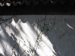 -秋霞圃