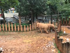 -昆明动物园