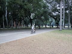 -中山大学学者灵芝(园南路店)