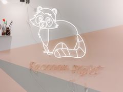 -浣熊柯尔鸭土拨鼠·电玩咖