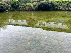 -泸州老窖景区
