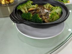 -南庄酒家·海鲜粤菜·25年老字号(环城南路店)