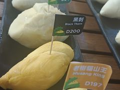 -榴莲BB 四季果园