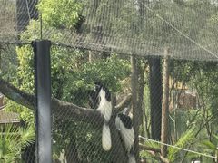-武汉动物园