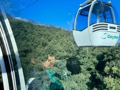 -苍山感通索道