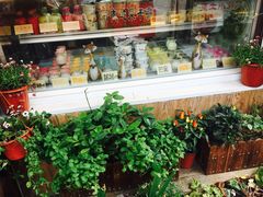 -狐狸家·酸奶酪专门店(平江路店)