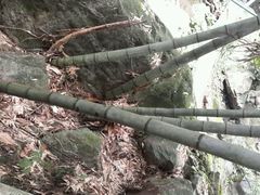 android_upload_pic-藏龙百瀑风景区