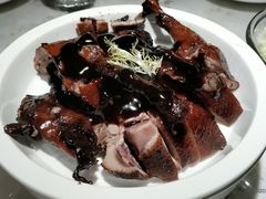 -佬肥猫(国华广场店)