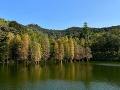 -广州市白云山风景名胜区