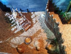 -酷嗒动物文化乐园(cutezoo西溪乐天城店)