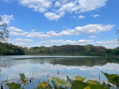 -昆山城市生态森林公园