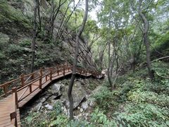 -大岭沟猕猴桃谷风景区
