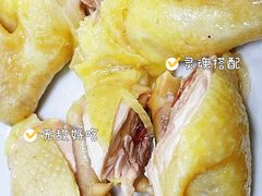 -力哥地道海南菜·联谊文昌鸡老店
