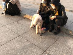 -栖露营camping·天幕烧烤·团建拓展·采摘营地