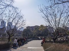 -成都南湖公园