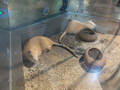 -昆明大悦城未来动物城(螺蛳湾中心店)