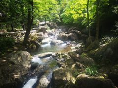 -白云源风景区