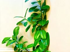 -君霖私家菜(春柳店)