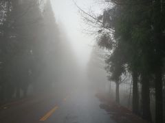 -山王坪喀斯特国家生态公园