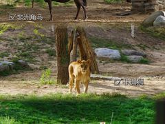 -北京野生动物园