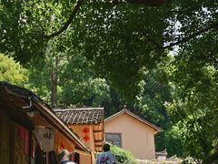 -杨家堂村