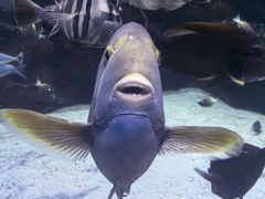-海合安成都极地海洋公园