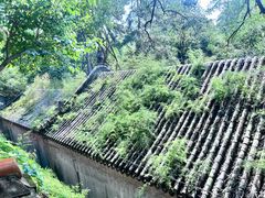 -潭柘寺景区