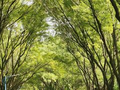 -森林公园(尖草坪区)