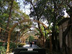-院子餐厅·大锅菜·老杭帮(桥西直街店)