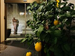 -北京古城老院厉晓麟精致菜