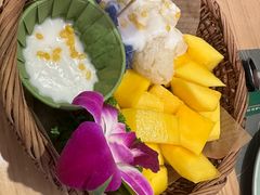 -mango tree芒果树(万象城店)
