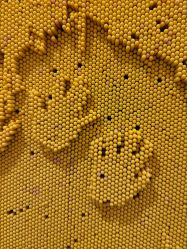 -幻贝家儿童乐园(武汉永旺梦乐城店)