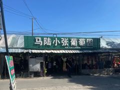 -马陆小张葡萄园农家乐