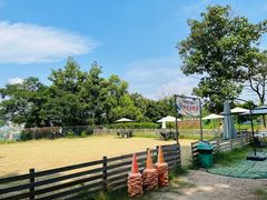 -趣多多宠物公园·宠物训犬学校·宠物寄养