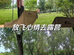 -洨河生态公园