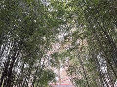 -浮来山风景区