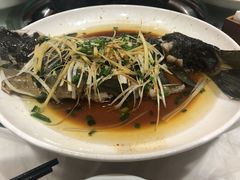 雅江鱼每斤-南渝食府.石锅鸡(尚城花园店)