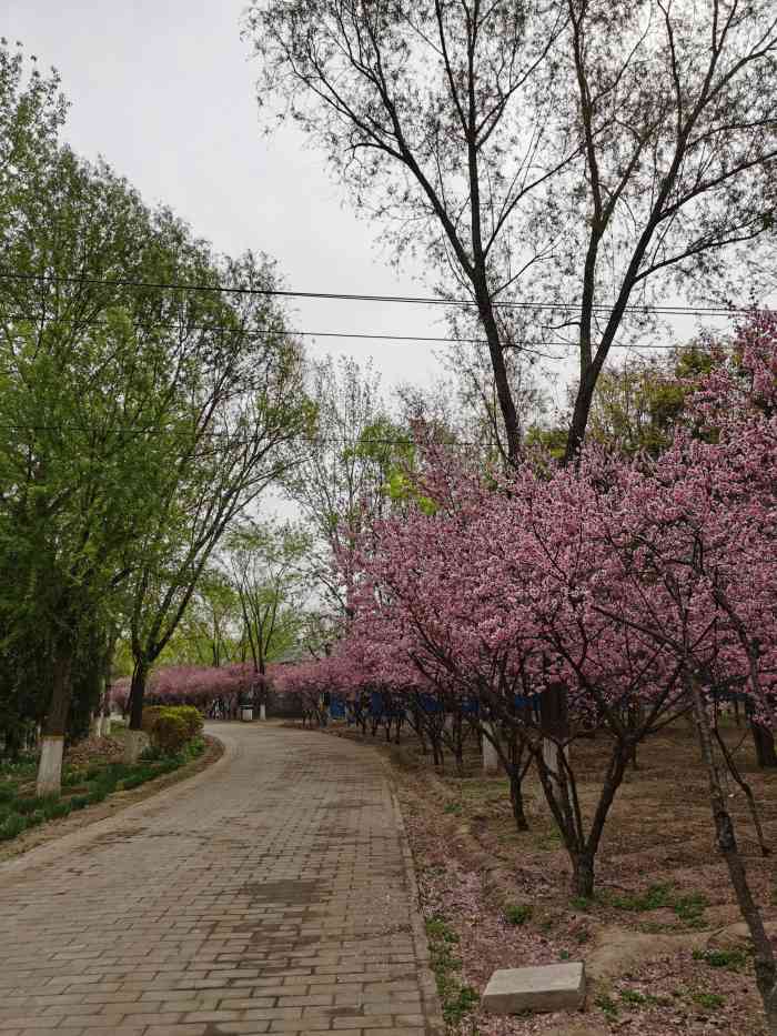 槐新公园-"我非常喜欢槐新公园,特别是雨后更让人心旷.