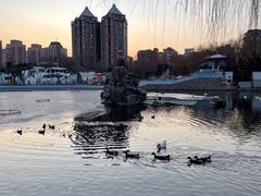 -团结湖公园