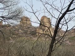 -大岭沟猕猴桃谷风景区